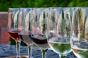 Closeup of wine sampler at a midwestern vineyard photo