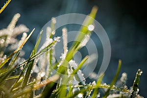 Closeup of winter hoarfrost and waterdrops