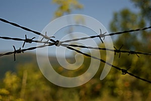 Closeup wire fence on blue sky  background