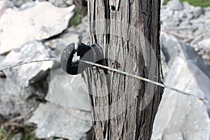 Closeup of wire fence holder on wooden pole