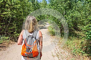 Closeup of woman with backpack on trailway in fir and pine trees forest. Concept of active lifestyle, hiking and tourism