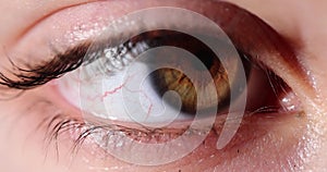 Closeup of woman eye with brown corneas