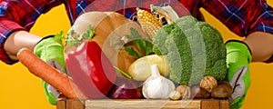 Closeup on woman grower showing box of fresh vegetables