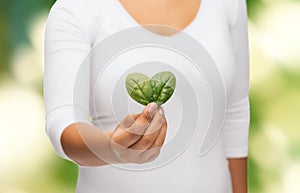 Closeup woman hand with green sprout