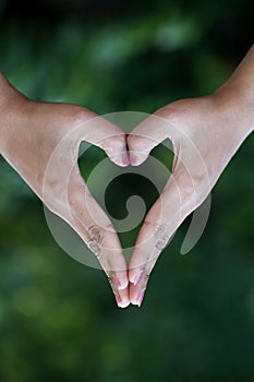 Closeup of woman hands making heart shape gesture