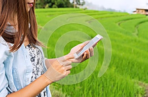 Closeup of woman hands using smartphone at rice field terraces in the morning