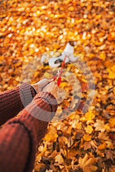 Closeup on woman holding dog on leash outdoors in autumn