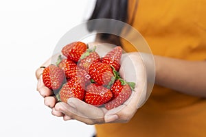 Closeup Woman holding fresh strawberry in hands