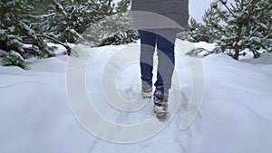Closeup of woman legs walking on snowy path in pine forest in winter