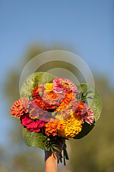 Closeup of woman's hand holding beautiful bouquet of summer garden flowers on the blue sky backdround. Bright bunch