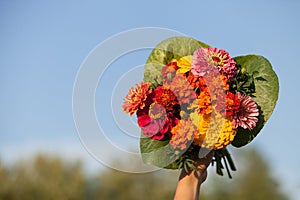 Closeup of woman's hand holding beautiful bouquet of summer garden flowers on the blue sky backdround. Bright bunch