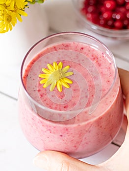 Closeup of woman`s hand holding creamy wild cranberry smoothie in a glass.