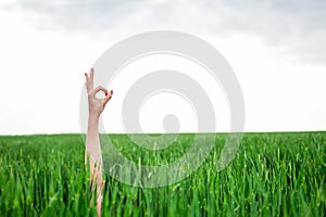 Closeup of a woman's hand making ok or zero sign photo