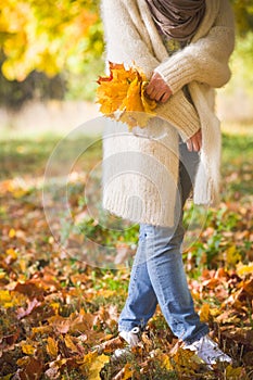 Closeup of woman`s hands holding beautiful bunch of bright autumn maple tree leaves in the park on a sunny day