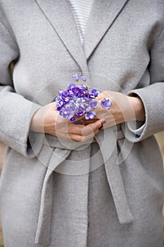 Closeup of woman`s hands with small bunch of beautiful blue snowdrops. Spring mood. Girl with flowers