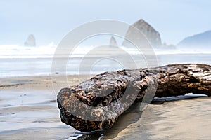 Closeup of a wood on the beach with the sea and rocks covered in the fog on the blurry background