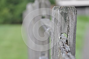 Closeup of a wood fence in a park