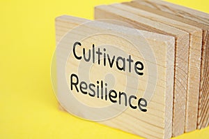 Closeup of wooden cubes with text, Cultivate Resilience. Promoting best practice concept