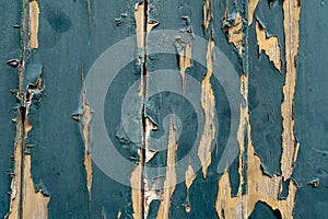 Closeup of wooden door with scratched and cracked blue paint, useful as a background