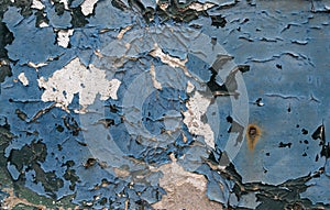 Closeup of wooden door with scratched and cracked blue paint, useful as a background