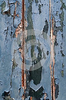 Closeup of wooden door with scratched and cracked blue paint, useful as a background