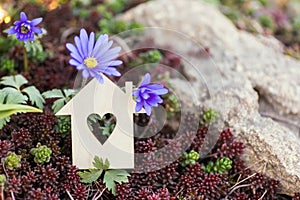 Closeup wooden house with hole in form of heart with purple spring flowers