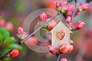 Closeup wooden house with hole in form of heart surrounded by pink flowering branches of spring trees