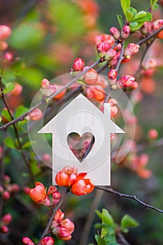 Closeup wooden house with hole in form of heart surrounded by pink flowering branches of spring trees