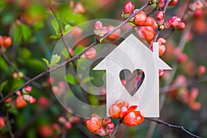 Closeup wooden house with hole in form of heart surrounded by pink flowering branches of spring trees