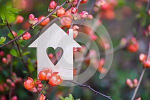 Closeup wooden house with hole in form of heart surrounded by pink flowering branches of spring trees