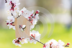 Closeup wooden house with hole in form of heart surrounded by white flowering branches of spring trees