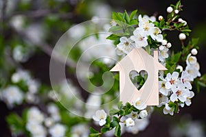 Closeup wooden house with hole in form of heart surrounded by white flowering branches of spring trees