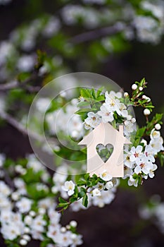 Closeup wooden house with hole in form of heart surrounded by white flowering branches of spring trees