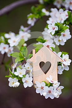 Closeup wooden house with hole in form of heart surrounded by white flowering branches of spring trees