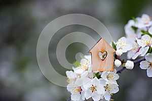 Closeup wooden house with hole in form of heart surrounded by white flowering branches of spring trees