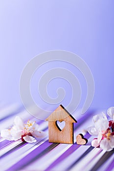 Closeup wooden house with hole in form of heart surrounded by white flowering tree branches on purple background