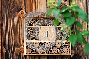 Closeup of wooden insects house in a garden