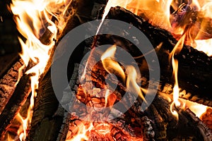 Closeup of wooden logs being burnt in the fire