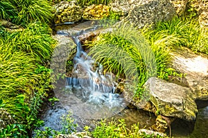 Closeup of woodland stream and waterfall with silky slow motion water and many plants in the rocks