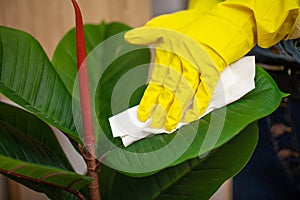 Closeup of worker hand wiping dust in office