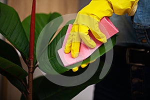 Closeup of worker hand wiping dust in office