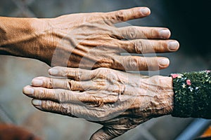 Closeup of a wrinkly and a young person& x27;s hands on a blurred background