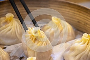 Closeup of Xiao Long Bao streamed pork dumplings