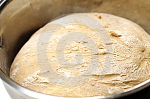 Yeast dough in bowl