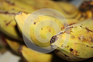 Closeup yellow bananas pile, fresh healthy food