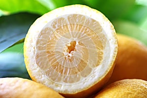Closeup of yellow lemon slice