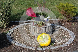 Closeup of a yellow pumpkin on the unkept garden bed