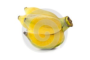 Closeup of yellow ripe of cultivated banana on white background. Isolated photo with clipping path.