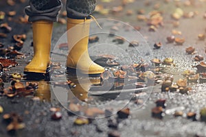 Closeup on yellow rubber boots of a child and chestnut shells in a puddle after a rain on a comfy autumn day