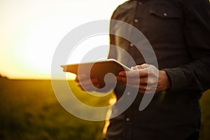 Closeup of young farmer`s hands holding a tablet and checking the progress of the harvest at the green wheat field on the sunset.